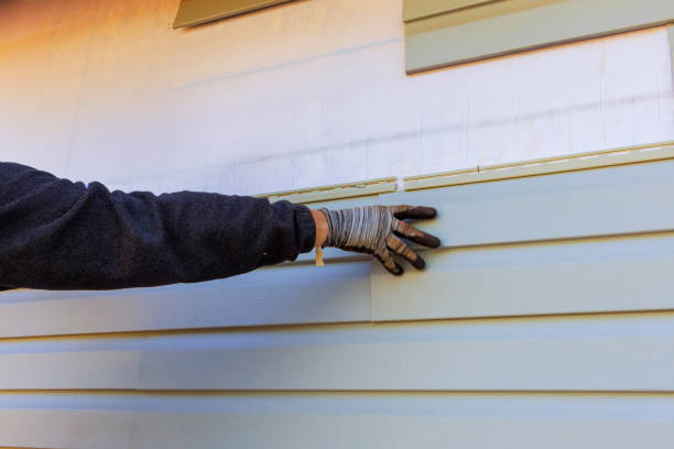 Best Insulated Siding Installation  in East Camden, AR